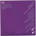 BORIS DLUGOSCH / VARIOUS - A Taste Of Peppermint Jam - CD