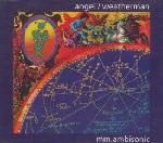 Mm.Ambisonic Angel / Weatherman