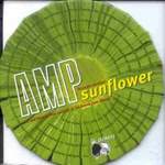 A.M.P. Sunflower E.P.