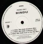 Bindu I Feel No Pain