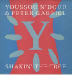 Youssou N'Dour & Peter Gabriel  Shakin' The Tree