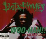 Busta Rhymes  Woo-Hah!! Got You All In Check