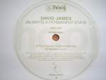 David James Always A Permanent State (Disc Two)