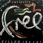 Curiosity Killed The Cat  Free