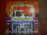Love Unlimited Orchestra - Young America