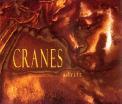 Cranes Adrift  
