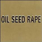 Oil Seed Rape  Six Steps To Womanhood