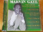 Marvin Gaye  What's Goin' On? : Marvin Gaye Live In Concert