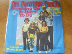 Partridge Family - Breaking Up Is Hard To Do
