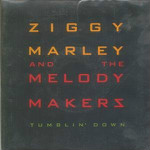 Ziggy Marley And The Melody Makers  Tumblin' Down