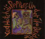 Red Hot Chilli Peppers - Under The Bridge Record