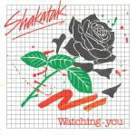 Shakatak  Watching You
