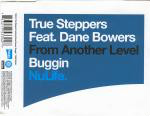 True Steppers Feat. Dane Bowers  Buggin
