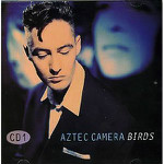 Aztec Camera  Birds