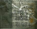 VARIOUS - Zauber Of Music Vol. 1 - CD