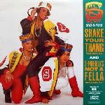 Salt 'N' Pepa Shake Your Thang