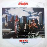 Stranglers - Big In America (texas Mix)