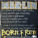 Merlin  Born Free
