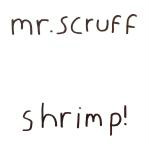 Mr. Scruff  Shrimp!