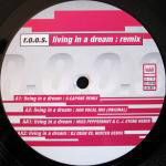 R.O.O.S.  Living In A Dream (Remix)