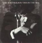 Waterboys This Is The Sea