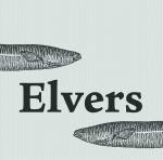 Elvers Elvers