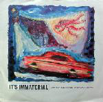 It's Immaterial  Driving Away From Home (Jim's Tune)