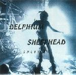 Delphium / Sheephead  Split EP