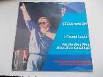 I Found Lovin' - Steve Walsh