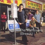 Wallflowers Breach