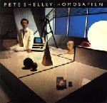 Homosapien - Pete Shelley