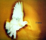 Libera - Libera