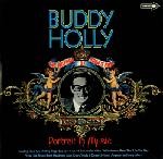 Buddy Holly Portrait In Music