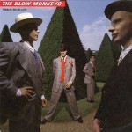 Blow Monkeys, This Is Your Life
