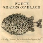 Forty Shades Of Black Belisha