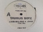 Taurus Boyz  Lookin' For A Lover (Club Mix)
