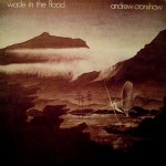 Andrew Cronshaw  Wade In The Flood