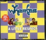 Wheatus  A Little Respect