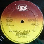 Liquid Gold  Mr. Groovy (It Feels So Nice)