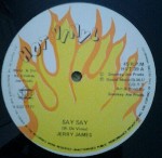 Jerry James  Say Say