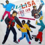 Lisa Lisa & Cult Jam With Full Force I Wonder If I Take You Home
