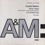 Crystal Waters  What I Need 