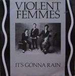 Violent Femmes  It's Gonna Rain