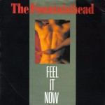 Fountainhead Feel It Now