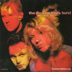 Darling Buds Burst