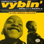 Various The Best Of Vybin' - New Soul Rebels