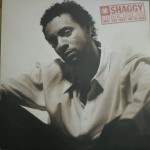 Shaggy Featuring Grand Puba  Why You Treat Me So Bad