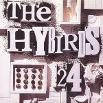 Hybirds 24