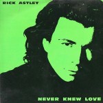 Rick Astley - Never Knew Love Record