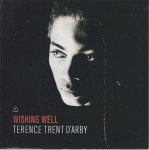 Terence Trent D'Arby Wishing Well